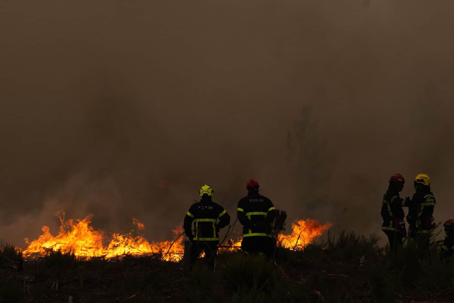 Wildfires
